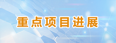 重點項目進展